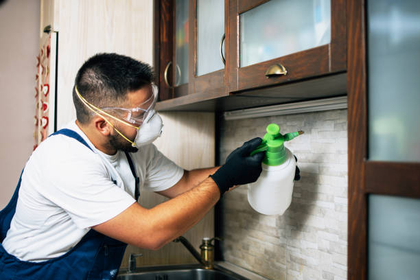 Best Residential Pest Control  in Pleak, TX