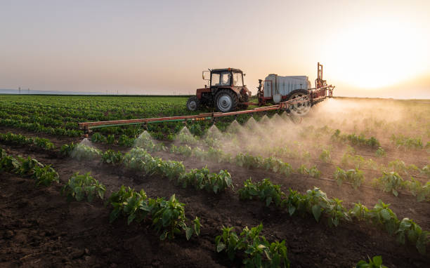 Best Best Pest Control Companies  in Pleak, TX