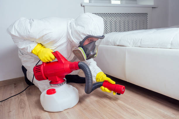 Best Pest Prevention Services  in Pleak, TX
