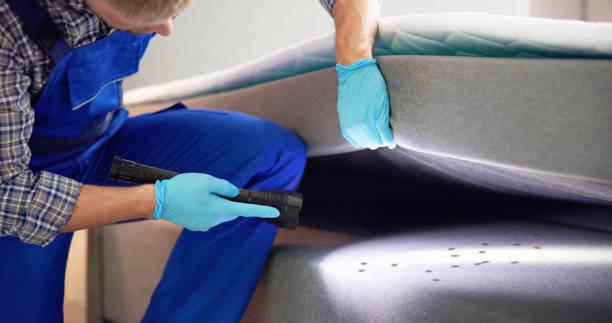 Reliable Pleak, TX Pest Control Solutions