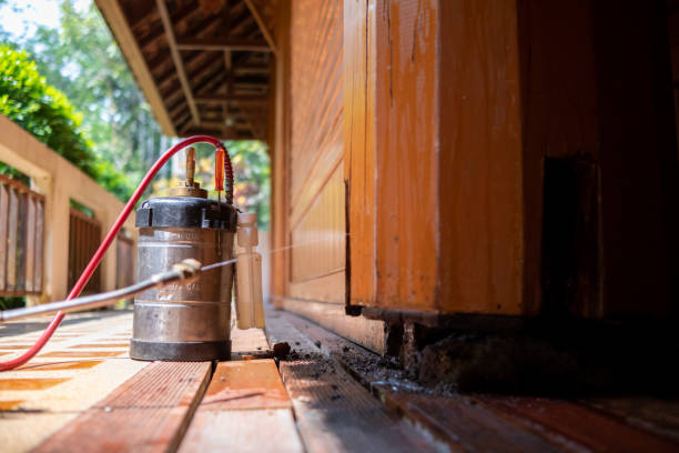 Best Affordable Pest Control Services  in Pleak, TX