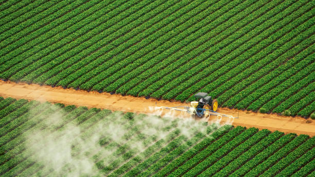 Best Commercial Pest Control Services  in Pleak, TX