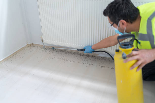 Best Cockroach Control Services  in Pleak, TX