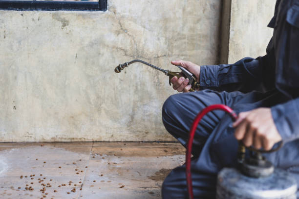 Best Affordable Pest Control Services  in Pleak, TX