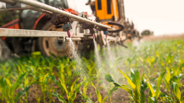 Pest Prevention Services in Pleak, TX